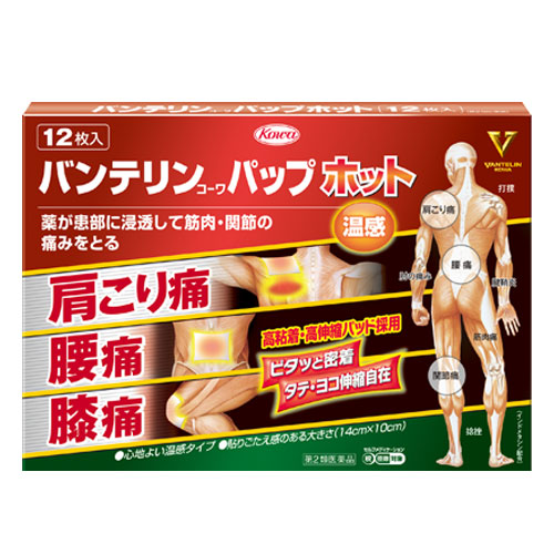 반테린 코와 파프 핫 12매   【제2류의약품】  반테린코와 파스