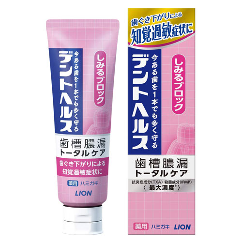 덴트헬스 약용 치약 시린이 차단 85g 허브티 민트