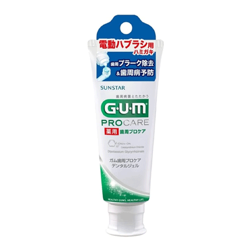 GUM 검 약용 치주 프로케어 치약 65g 전동칫솔용 치약