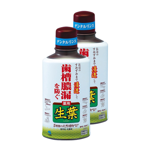 생엽 액체타입 치조농루방지 덴탈린스 허브민트맛 330ml×2개세트