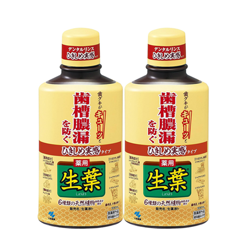 생엽 액체타입 가글 히키시메타입 치조농루방지 덴탈린스 허브민트맛 330ml×2개세트