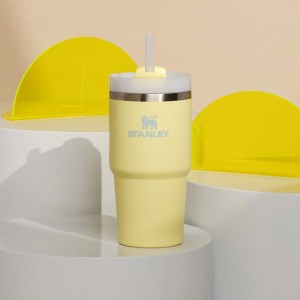 STANLEY 스탠리 ST H2.0 진공 퀜처 0.6L LLC 라일락 10826-322  보온 보냉 텀블러10826
