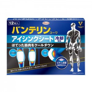 반테린코와 아이싱 시트 12매 냉각 시트