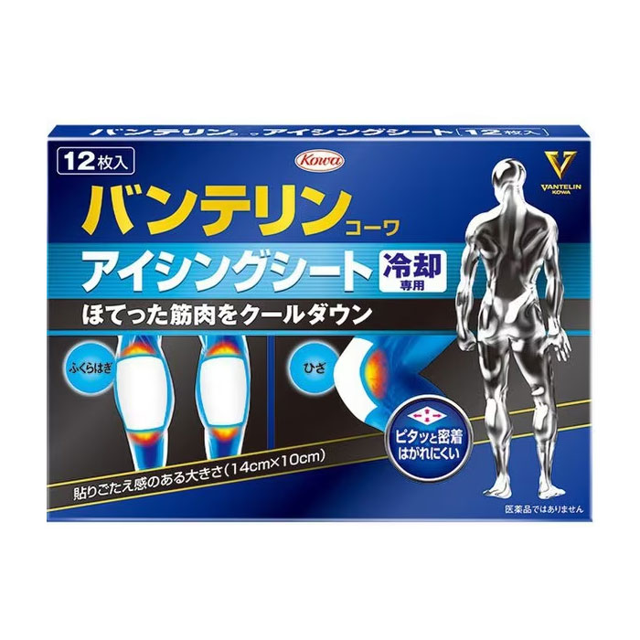 반테린코와 아이싱 시트 12매 냉각 시트
