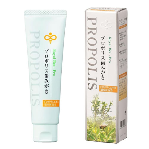 로얄 비 프로 프로폴리스 치약 100g Royal Bee-Pro 그린 프로폴리스 사용 일본제
