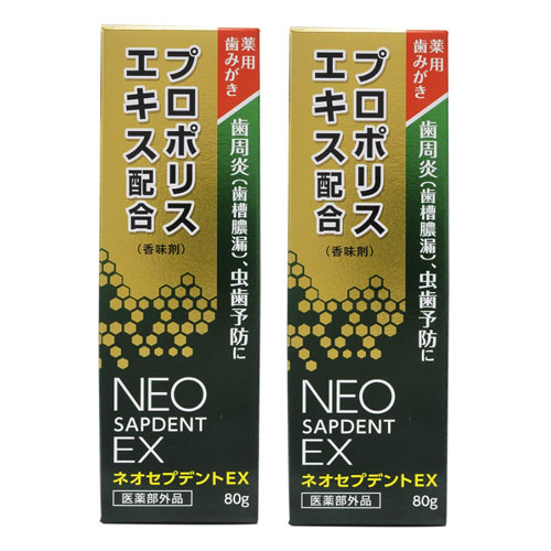 모리카와 건강당 프로폴리스 네오샙덴트EX 80gx2개세트 약용치약