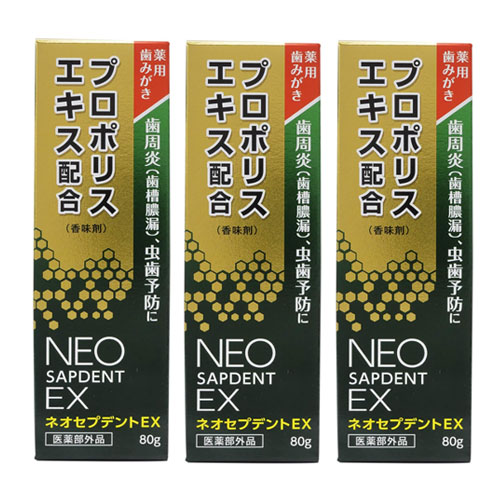 모리카와 건강당 프로폴리스 네오샙덴트EX 80gx3개세트 약용치약