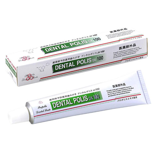 덴탈폴리스 DX100 프로폴리스 약용 치약 100g 마에다약품