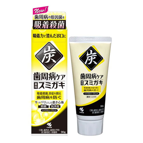 스미가키 치주염 케어 숯치약  90g 시트러스 허브 민트 고바야시제약