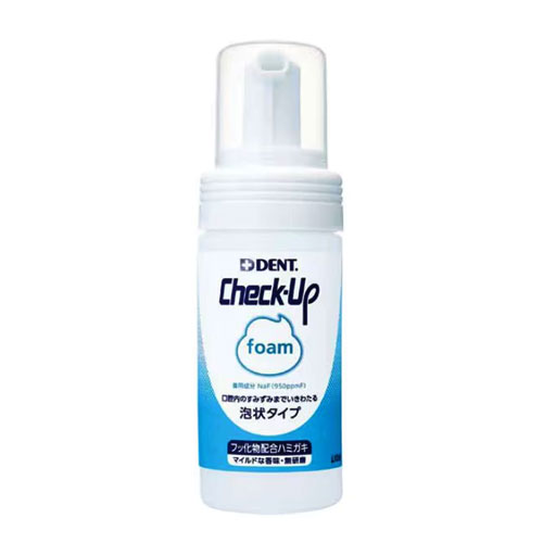 체크업 폼 (믹스후루츠) 100ml 거품 타입 치약 라이온 LION