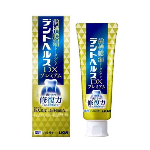 덴트헬스 약용치약 DX 프리미엄 90g 라이온