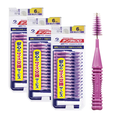 덴탈프로 치간칫솔 I자형 사이즈6 (LL)15개입x3개