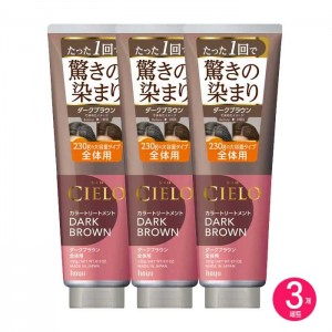 시에로 컬러 트리트먼트 전체용 다크브라운 230g X3개 세트