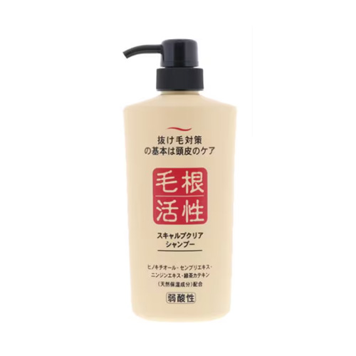 준 코스메틱 JUN COSMETIC 스칼프 클리어 샴푸 550ml