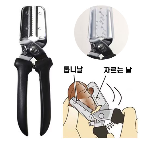 SUWADA 스와다 밤 가위 밤칼