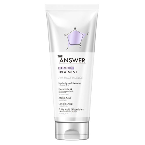 카오 디앤서 THE ANSWER EX 모이스트 트리트먼트 데일리 데미지 케어 220g 논실리콘