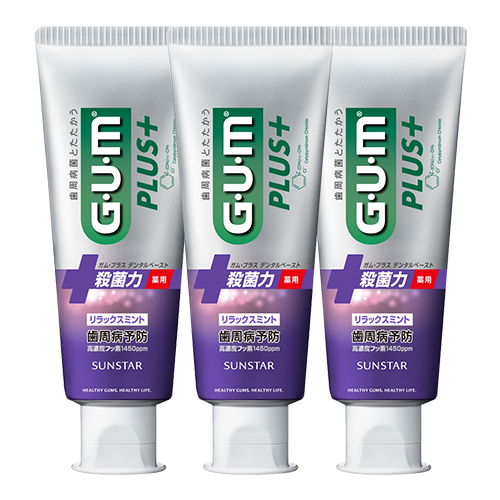 GUM PLUS+ 검 플러스 페이스트 릴랙스 민트 120g X 3개 세트