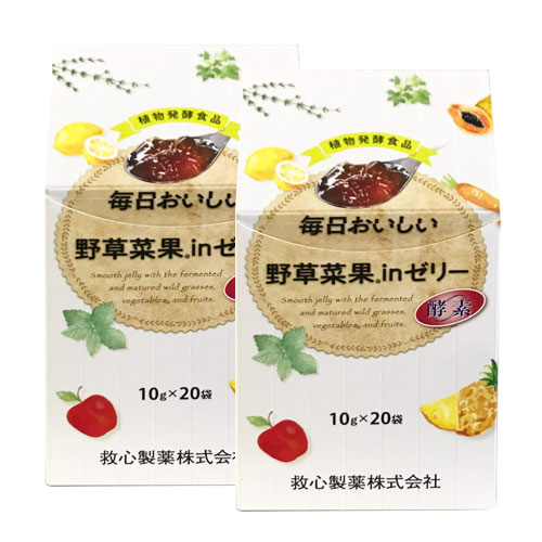 구심제약 매일 맛있는 야초채과 젤리 10g×20포 2박스세트 식물 발효 젤리