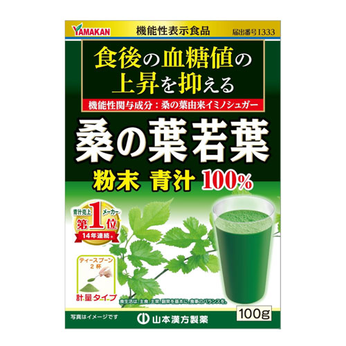 야마모토한방 뽕잎 녹즙 분말 100g