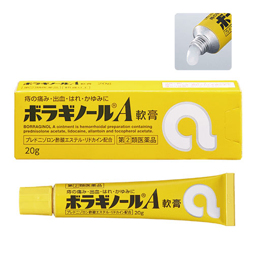 보라기놀A  치질연고 20g 01037■