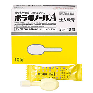 보라기놀A 주입연고 2g×10개입
