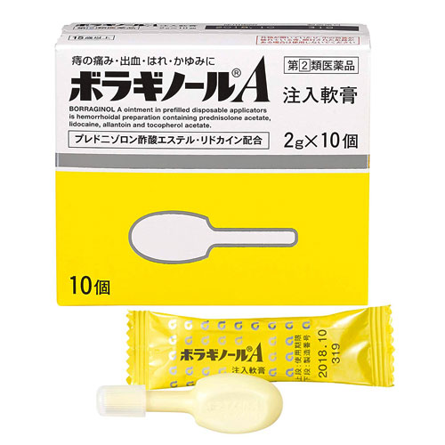 보라기놀A  주입연고  2g×10개입 