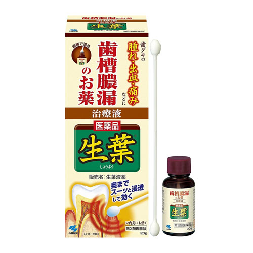 생엽 약액타입 20g 68243■