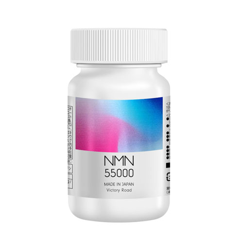 빅토리로드 NMN 55,000mg 220캡슐