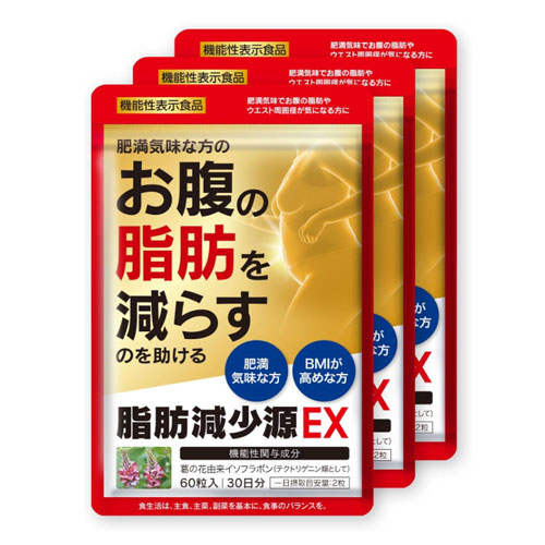 지방감소원 EX 60정 30일분 x 3개세트