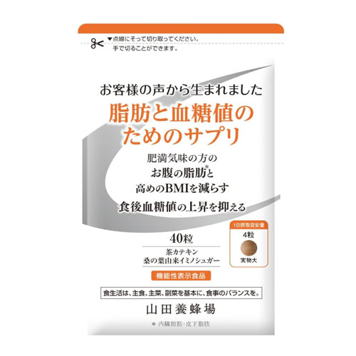 야마다양봉장 지방 혈당 케어 서플리 40정