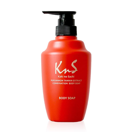 KnS 감잎 추출물 기능성 케어 데오드란트 바디 워시 450mL 