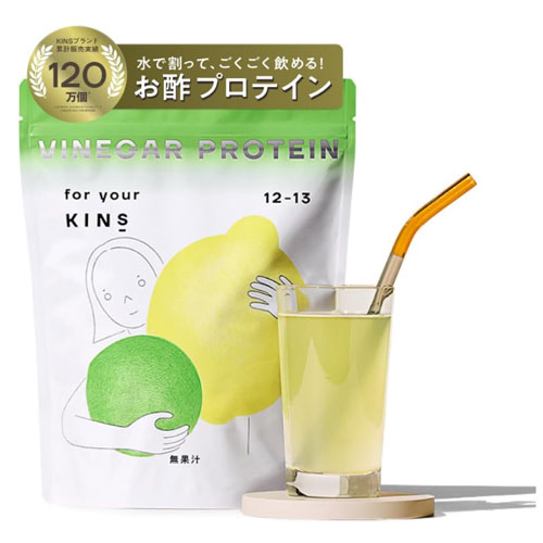 KINS 비니거 프로틴 레몬라임맛 280g