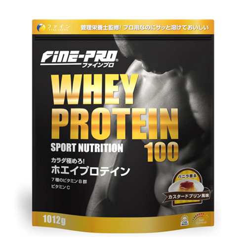 FINE 파인프로 웨이프로틴100 푸딩맛 1,012g WPC