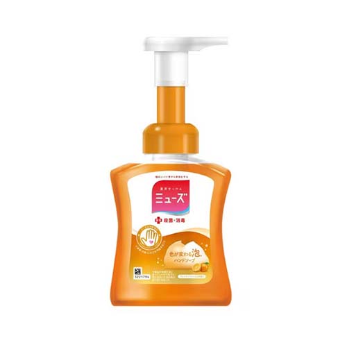 뮤즈 거품 핸드워시 프루티 프레시향 본품 250ml