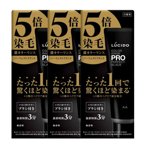 루시도 컬러 린스 PRO 퍼펙트 블랙 120g 3개세트