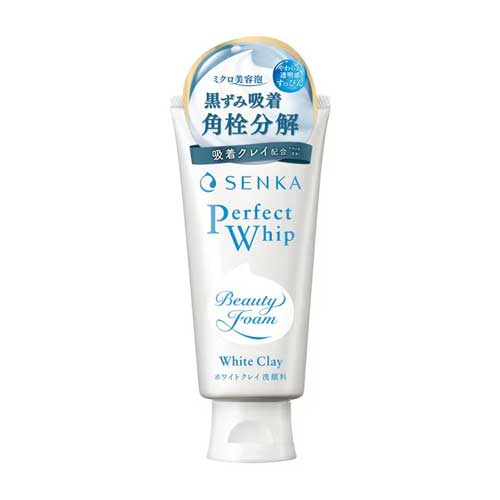 파인투데이 센카 퍼펙트 휩 화이트 클레이 120g 세안폼