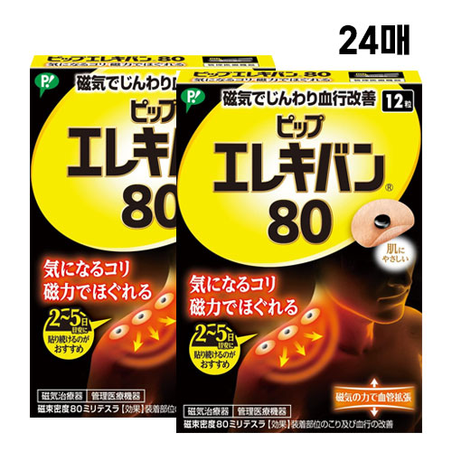 자석파스 에레키반80 24매 